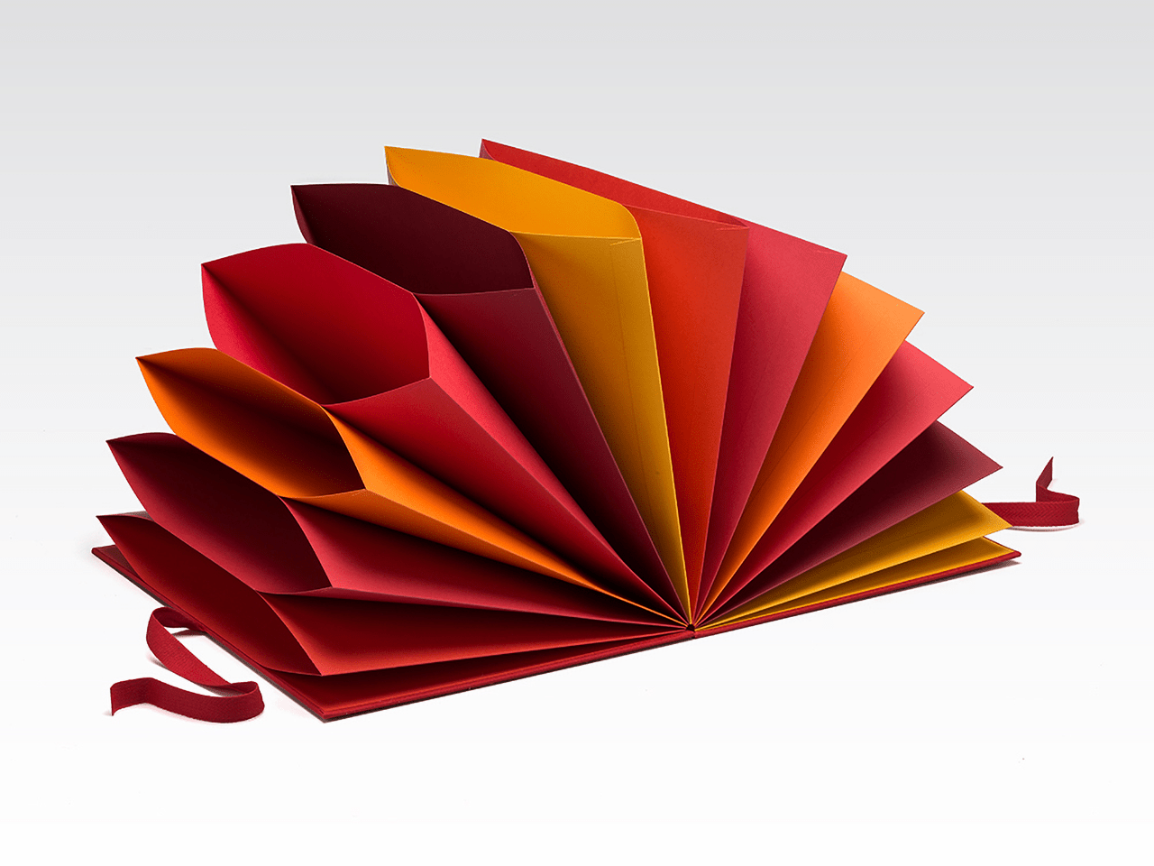 Duque consumo Último Carpeta multicolor,portadocumentos A4,12 bolsillos de papel de varios  colores