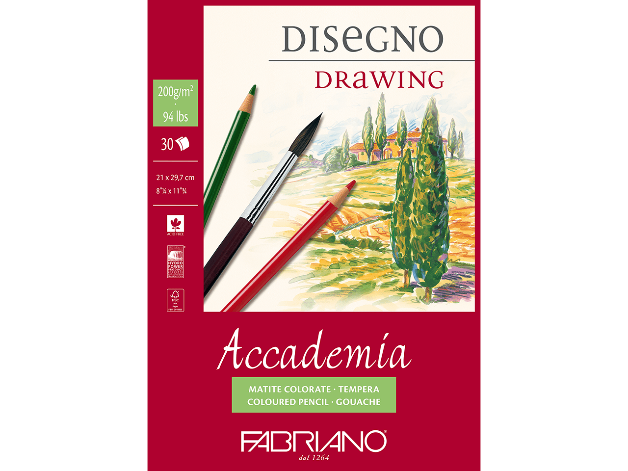 Accademia, paper, gouache, pencil, charcoal, pastels, sketches