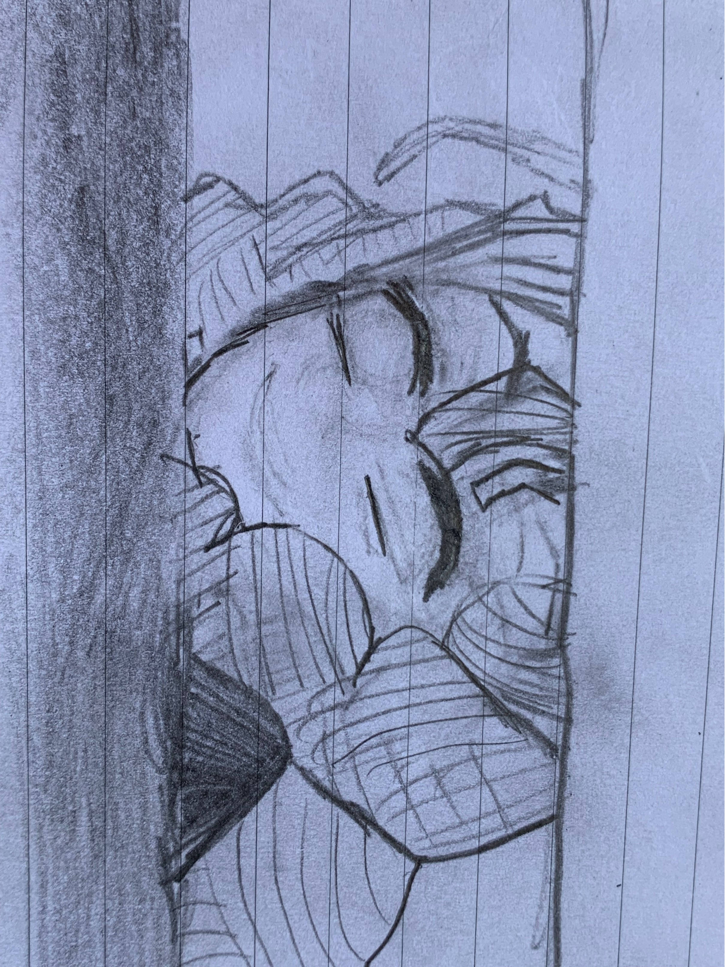 credits: sguardi personaggi manga